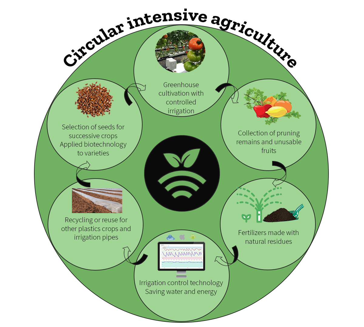 Agricultura circular intensiva