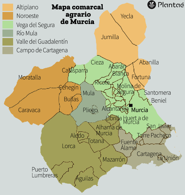 Agricultura en Murcia