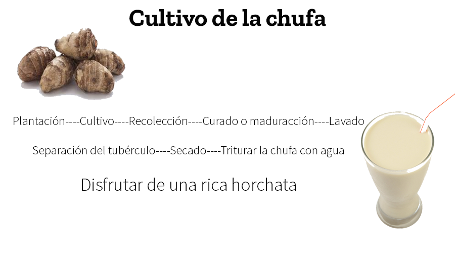 La horchata