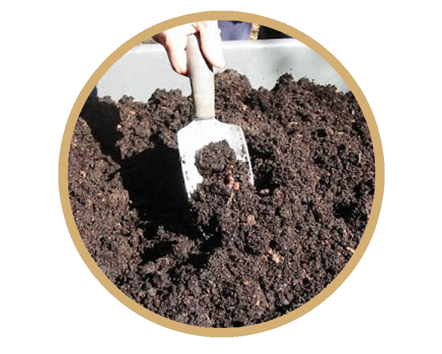 fertilizantes orgánicos