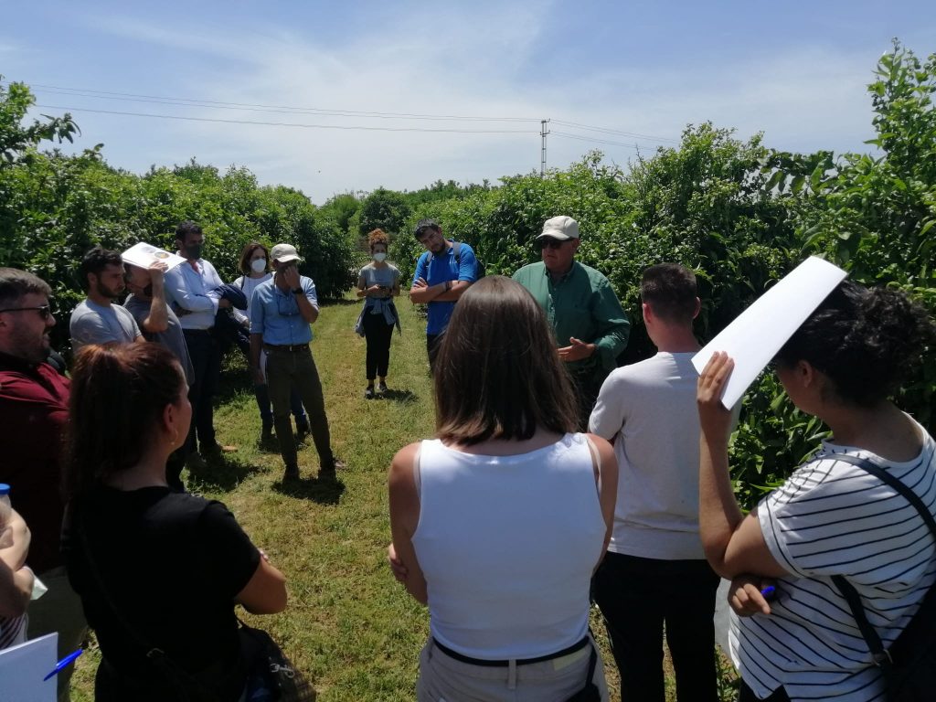 Optimizar el riego con Plantaerácticas en campo de optimización de riego