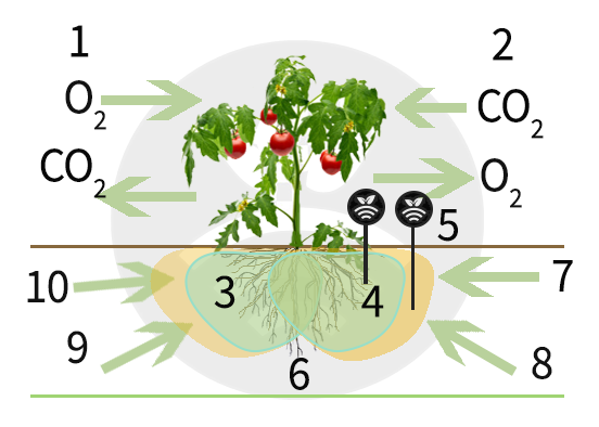 Fertilización de los cultivos