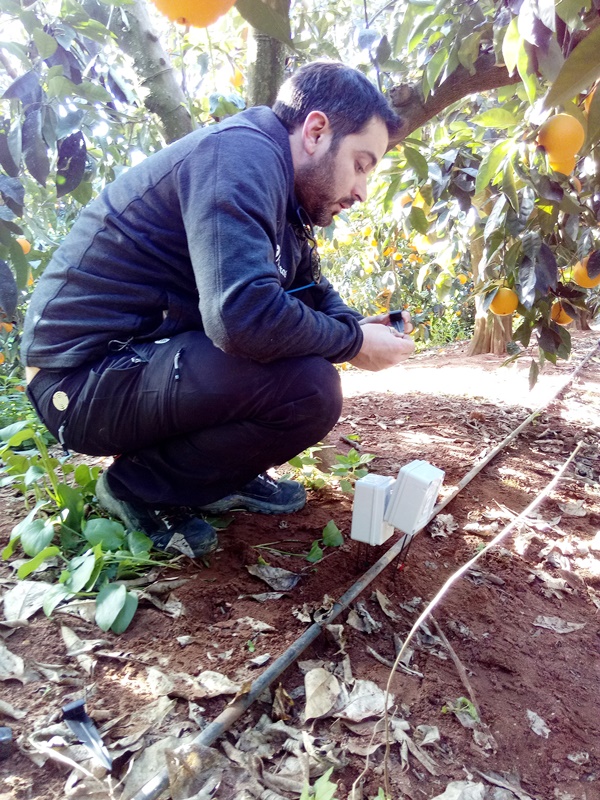 Instalación de sondas en riego optimizado
