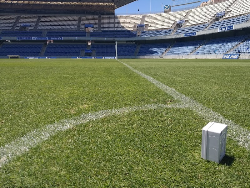 El césped en los campos de fútbol