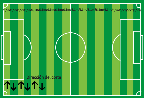 Campo de fútbol