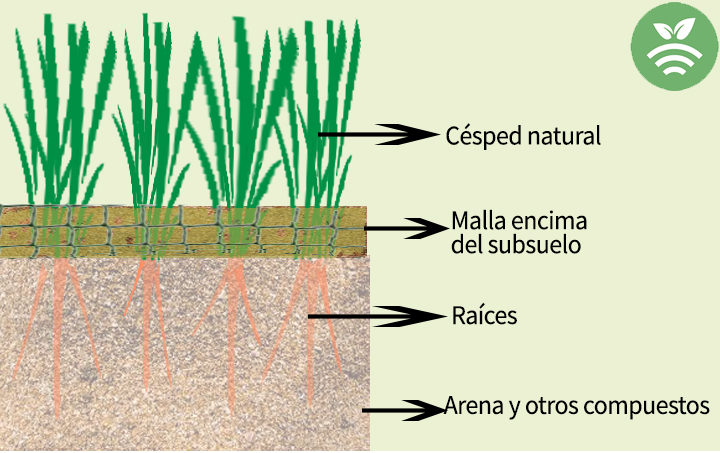 Césped con malla