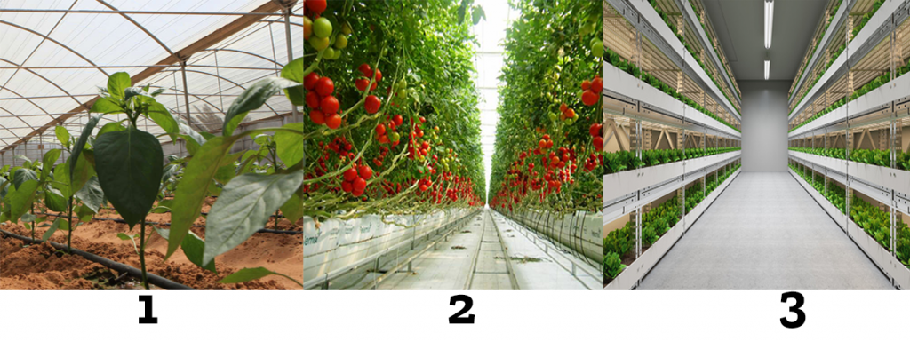 Agricultura en Emiratos Árabes