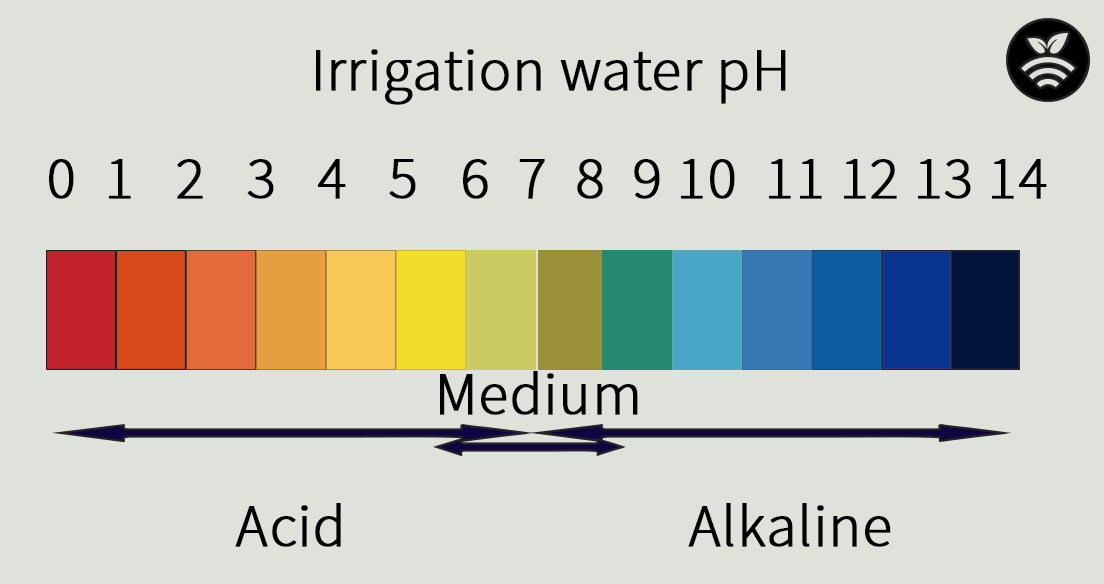 pH