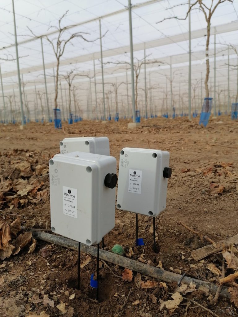 Gestión eficiente del agua con sondas