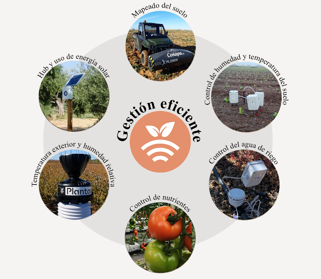 Gestión eficiente de la agricultura