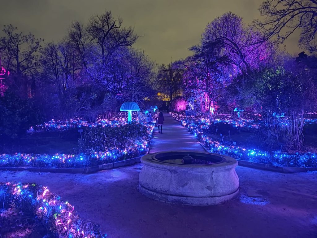 Botánico de Madrid iluminado por Navidad
