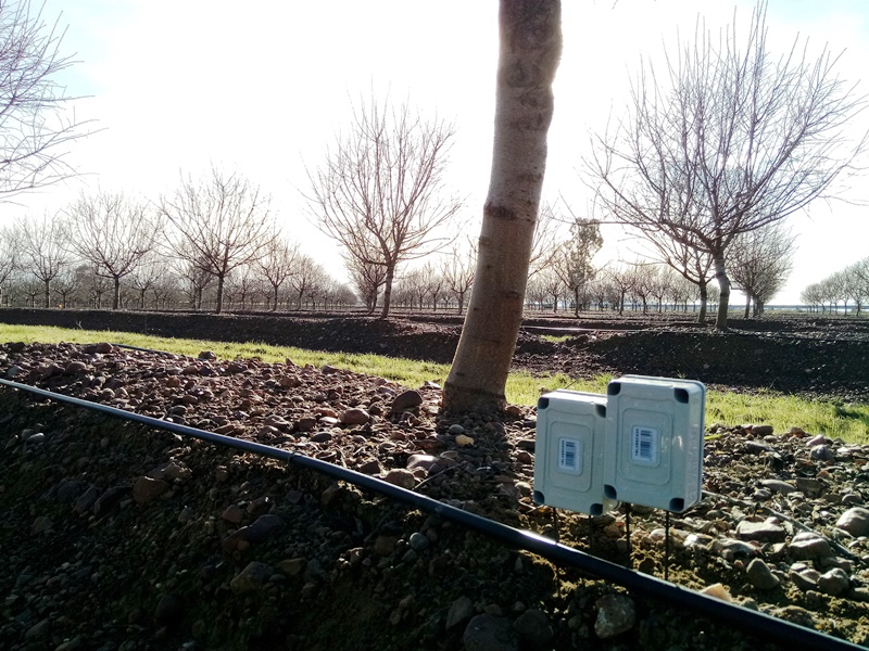 Sondas para ahorro de agua en almendro
