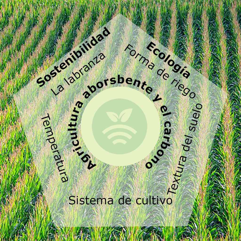La agricultura absorbente