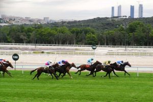 Césped en el hipódromo