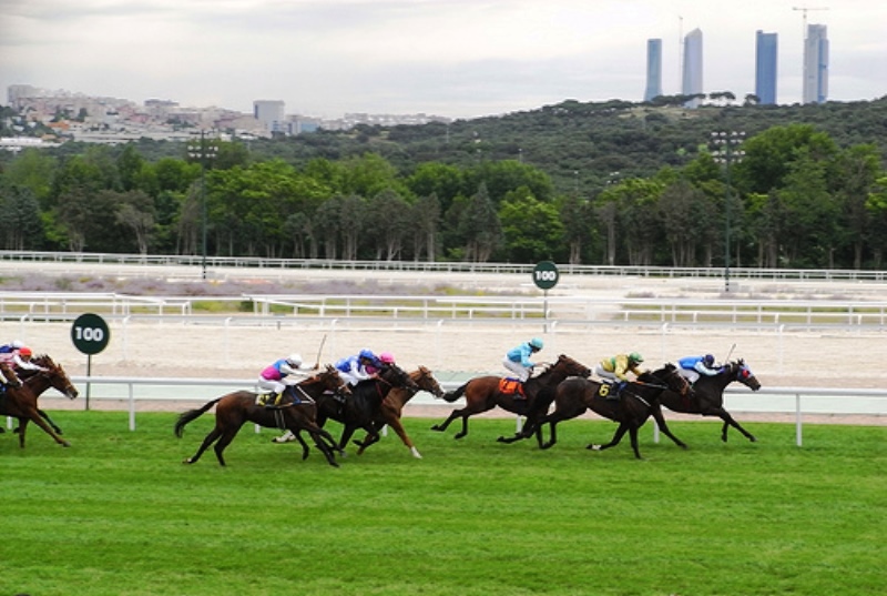 Césped en el hipódromo