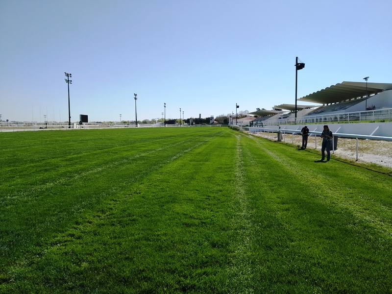 Césped en el Hipódromo de la Zarzuela