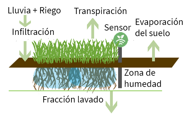 Riego controlado por sondas
