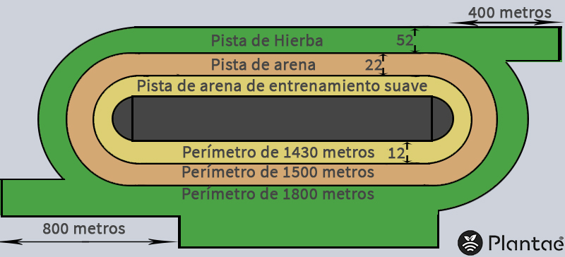 Césped en el hipódromo de la Zarzuela