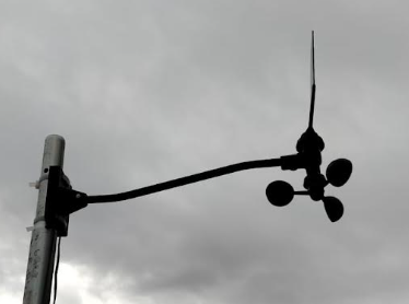 Anemómetro Plantae