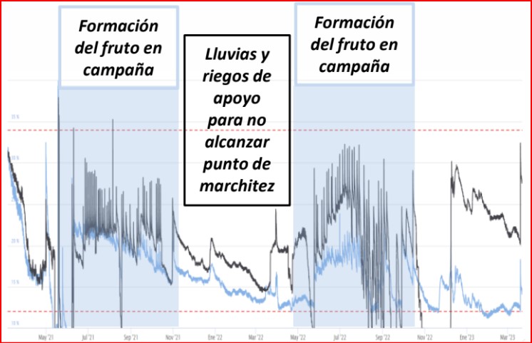 Cultivo del Olivar superintensivo