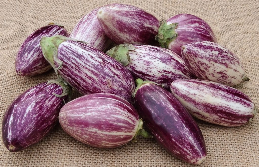 Variedad redondeada y jaspeada