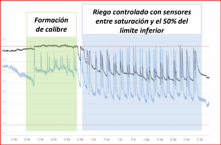 Una temporada de riego en cultivo de pistacheros