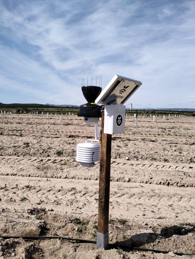 Estación Meteo Plantae