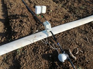 Sensores de humedad y temperatura en tomates en España
