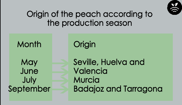 Procedencia del melocotón