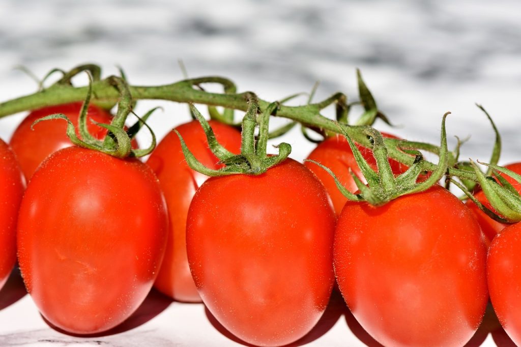 Tomates en España- Híbrido de pera