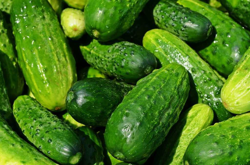 Pepinos tiernos