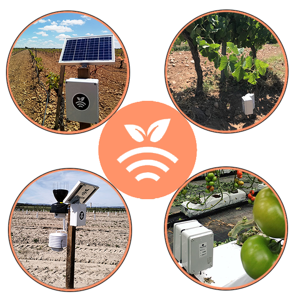 Smart Agrifood Summit 2024