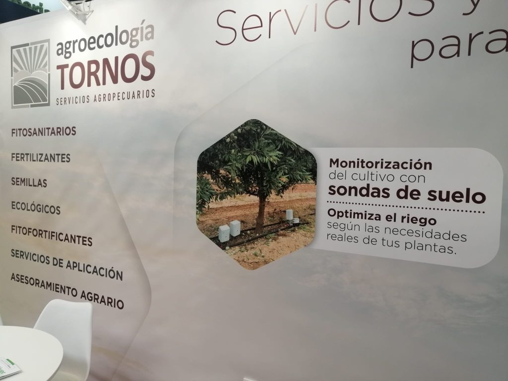 Sondas Plantae