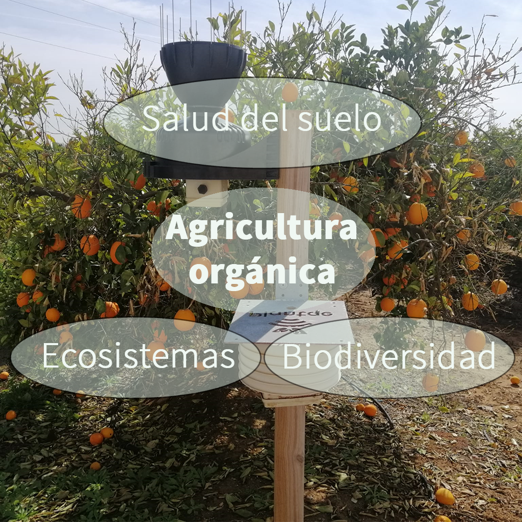 Agricultura orgánica
