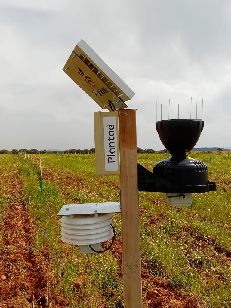 Estación Meteo para Monitorización en secano de variedades de olivo