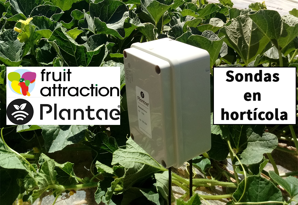 Fruit attraction 2024 en Madrid
