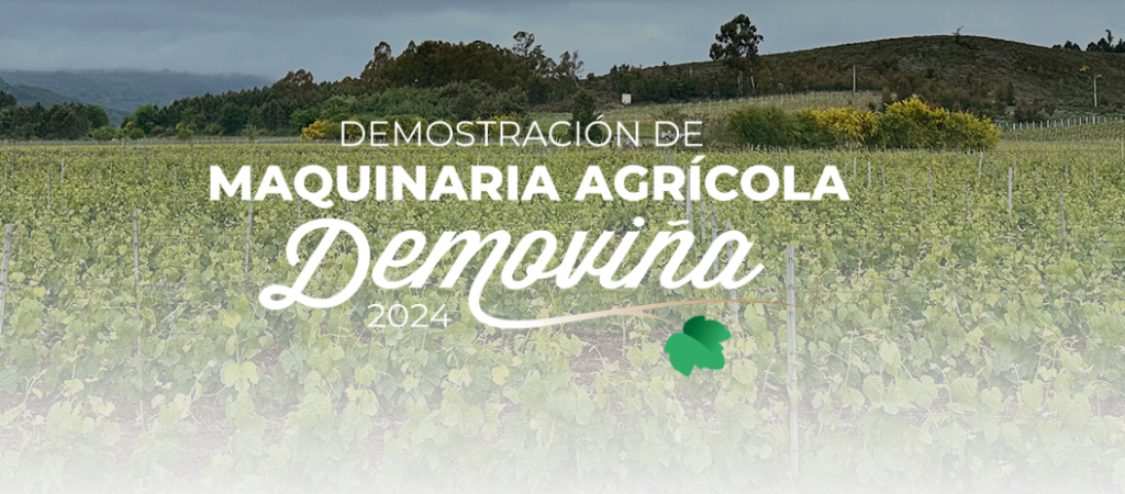 Demoviña 2024