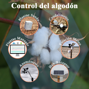 Control de la humedad del algodón