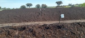 Control del estiércol con sensores de temperatura
