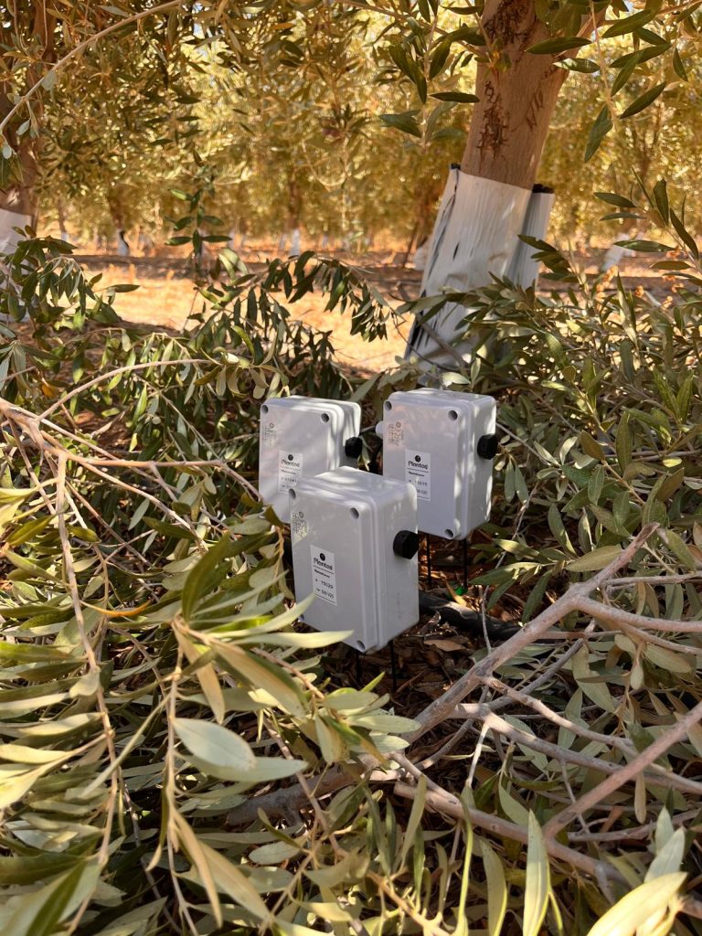 Sondas agrícolas en Arabia Saudita