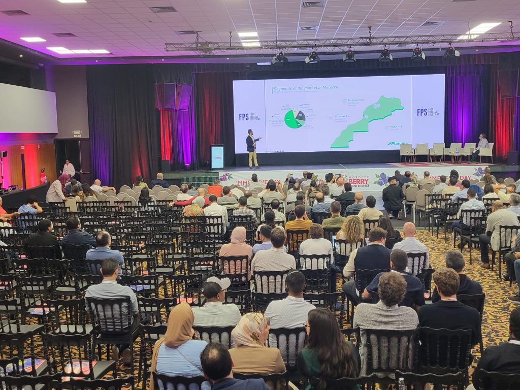 Morocco Berry Conference 2024