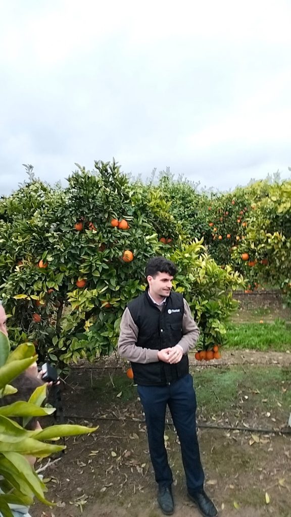 Democitrus 2025
