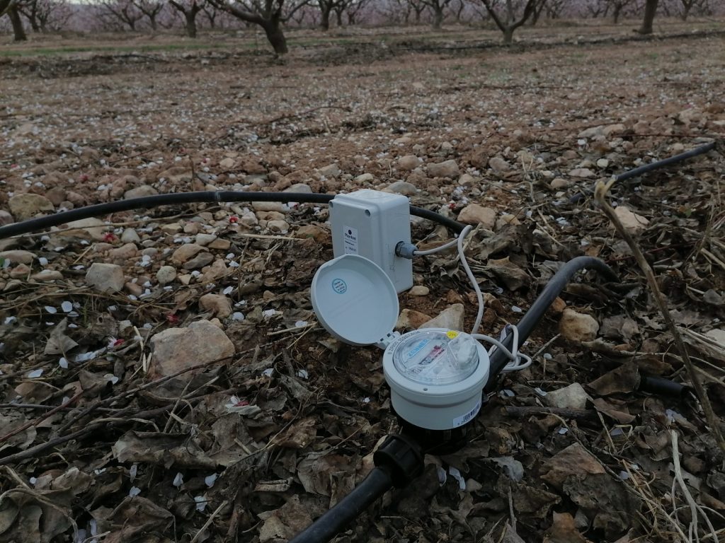 Influencia de la temperatura radicular en el crecimiento de la planta-Sondas de temperatura Plantae