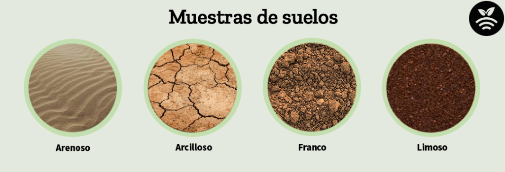 Tipos de suelos influyen en la capacidad de campo