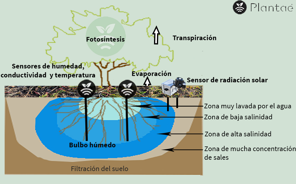 Sensor de radiación solar