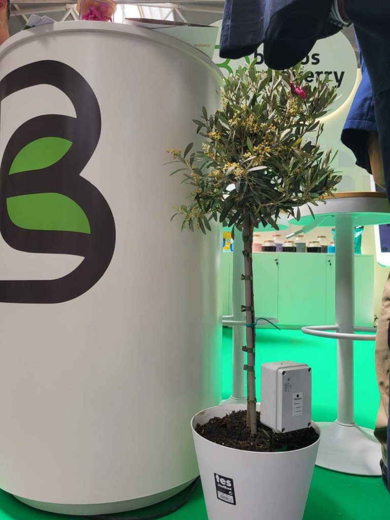 Expoliva 2025