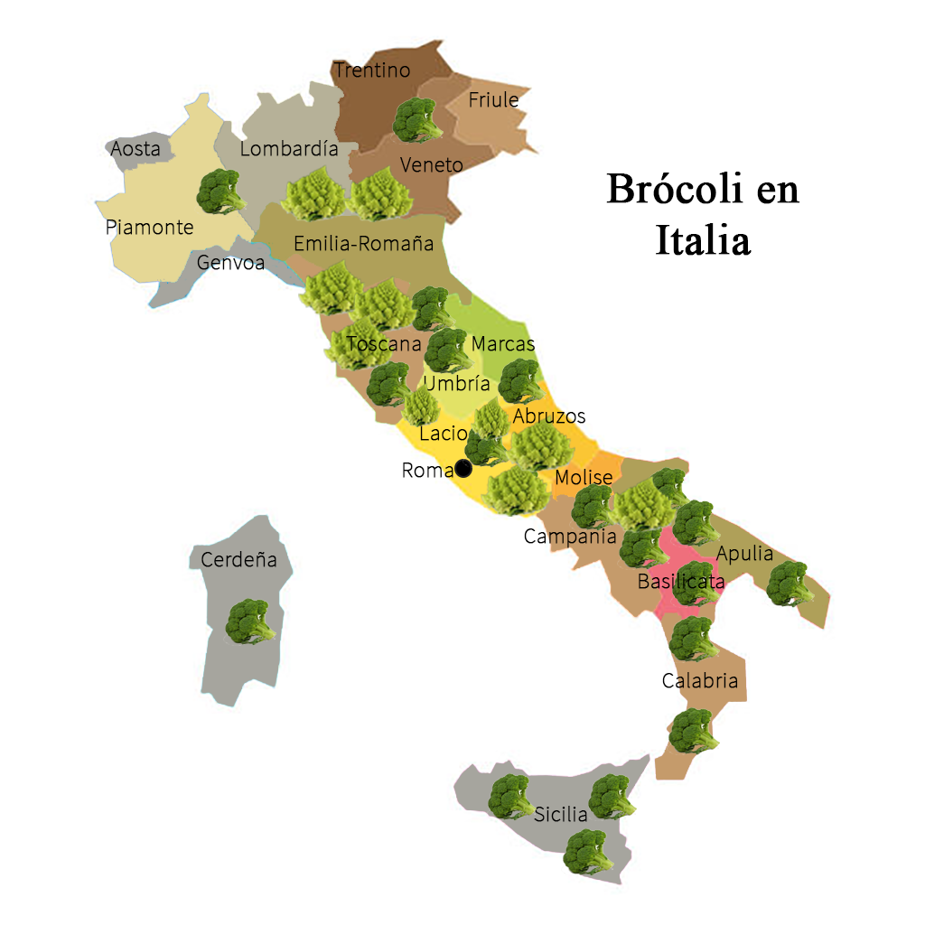 Brócoli en Italia, la importancia de su cultivo