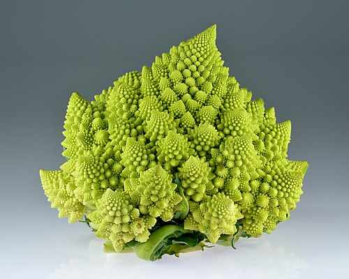 El Brócoli Romanesco,