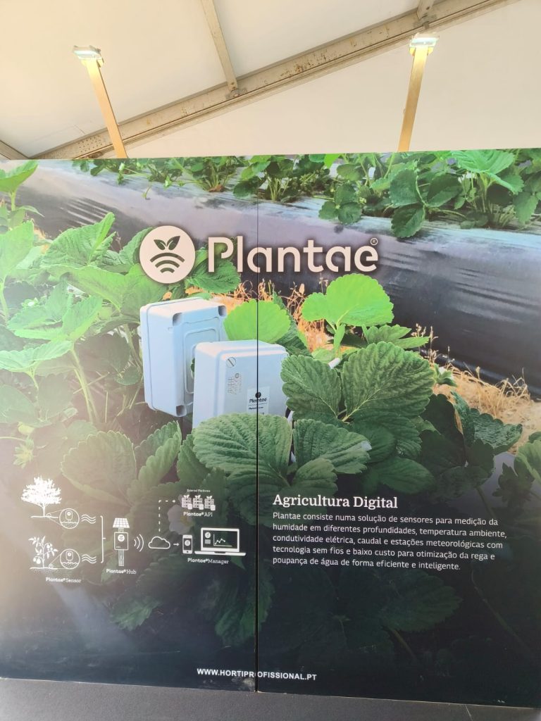 Plantae en Portugal