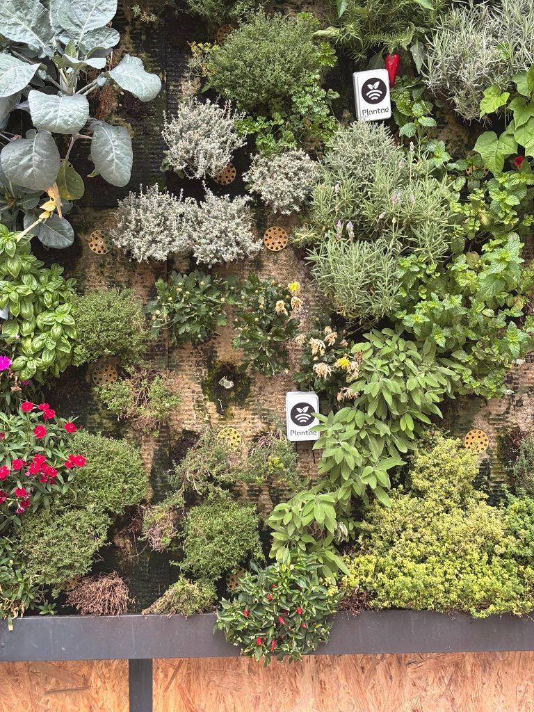 Sondas en jardín vertical- Fundación Juan XXIII
